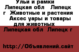 Ульи и рамки  - Липецкая обл., Липецк г. Животные и растения » Аксесcуары и товары для животных   . Липецкая обл.,Липецк г.